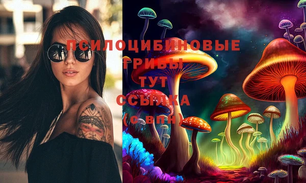 соль ск Бугульма