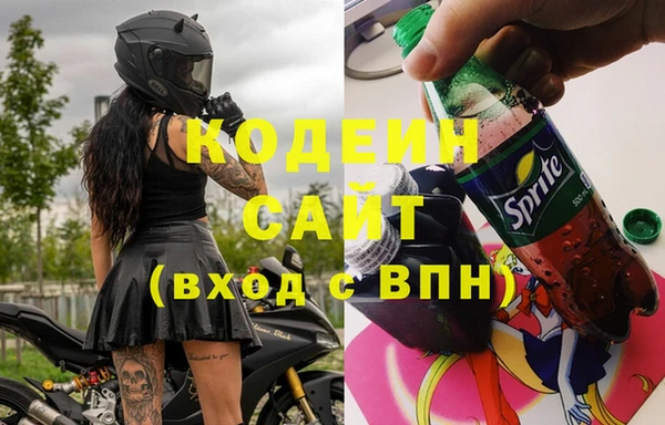 шишки Бронницы