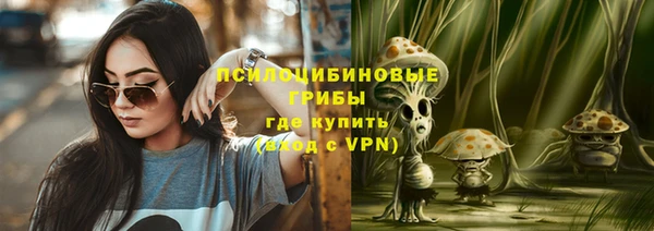 шишки Бронницы